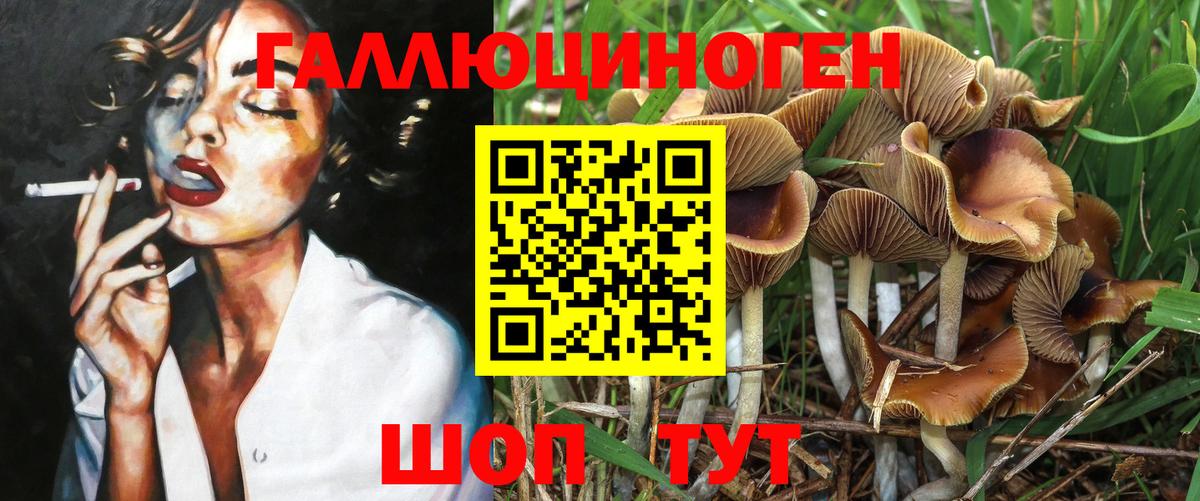 Псилоцибиновые грибы Magic Shrooms Петропавловск-Камчатский